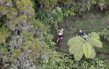 Grand Raid 2019, départ, Ravine blanche, octobre 2019, diagonale des fous