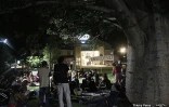 Nuit debout à champ fleuri
