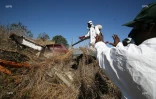 Chikungunya
