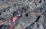 Volcan juin 2014 