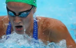 meeting natation 2017