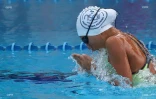 Championnat de natation de La Réunion