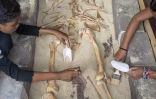 ournées européennes de l’archéologie