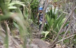 Grand raid 2018