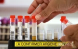  chikungunya analyse sang 