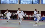 coupe karate kata 