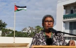 baissée de drapeau de la Palestine 