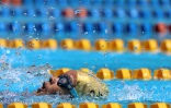 interclubs natation à plateau caillou 