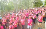 Odyssea 2014