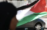 collectif Réunion Palestine