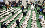 Des grossistes inspectent des tons surgelés lors de la vente aux enchères du marché de Toyosu à Tokyo, le 5 janvier 2019