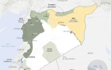 Syrie : le contrôle des territoires par les différentes forces