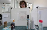 moustique spray 