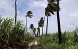 Emnati cyclone dimanche 20 février 2022