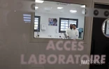 laboratoire de microlab 