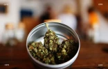 CBD 