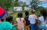 Saint-Leu : l'école Fontaine remporte la coupe de France du potager 