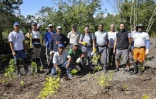  Sainte-Anne : 1 000 arbres plantés par des enfants à l’ENS Les Orangers par des enfants 