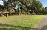 parc boisé au port 