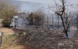 Feu de broussailles à Savannah Saint-Paul