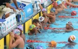 Natation 