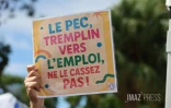 Baisse contrats PEC