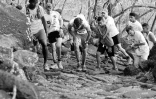 grand raid 2016