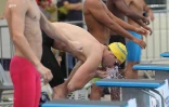 Natation 