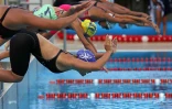 Natation