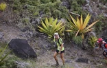 Grand raid