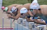 Natation comité régional Championnat hiver