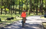 Valentin, autiste, a réussi son pari : faire le tour de l'île à vélo