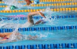 Meeting natation 2015