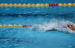 natation 