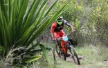 Mégavalanche 2017 