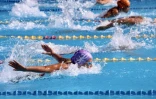 Natation comité régional Championnat hiver