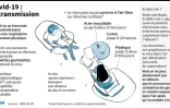 Covid-19 : la transmission