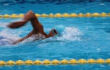 natation 