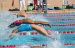 natation championnat de la réunion 