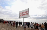 Hommage victimes requins 