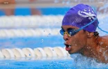 Natation 
