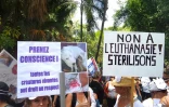 Ils manifestent pour une stérilisation massive