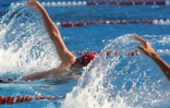 Natation