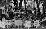 manifestation planteurs 