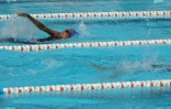Natation Maurice