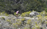 Grand Raid 2026