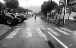 manifestation planteurs 