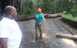 Cyclone Hellen