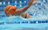 Natation 