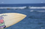 championnat de la reunion de surf 
